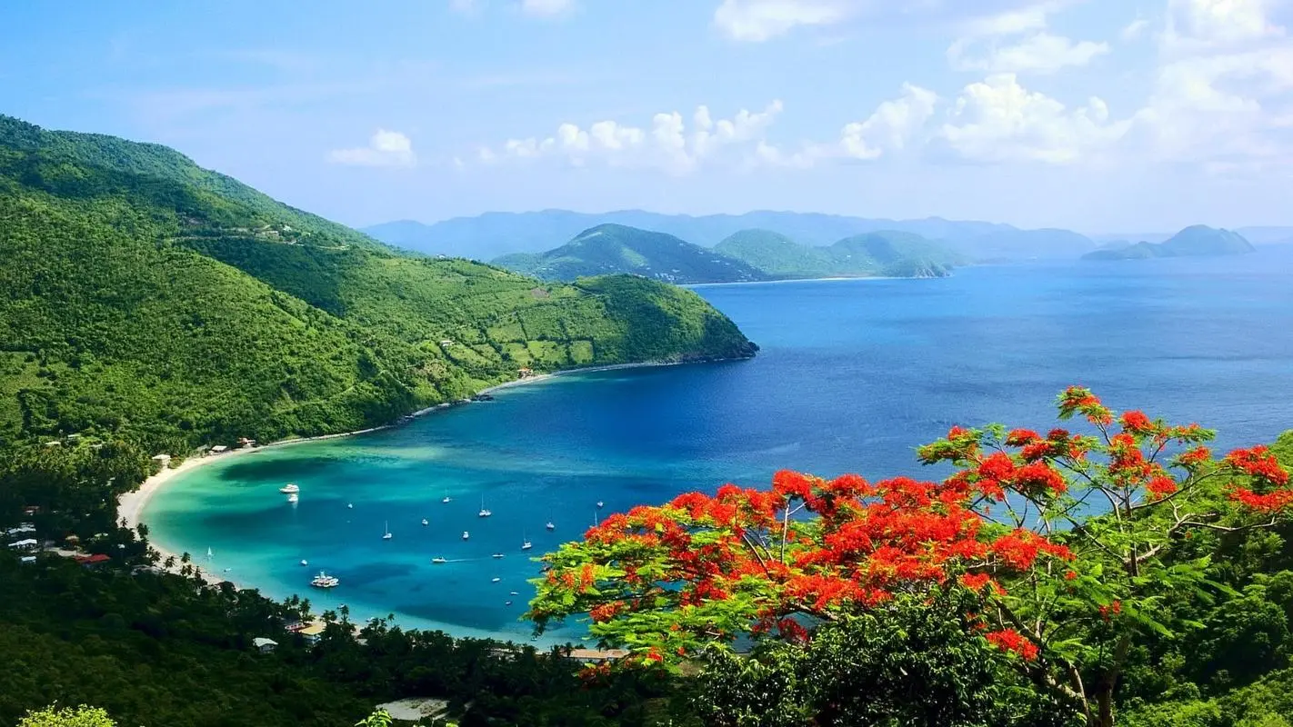 高性能先进自动化